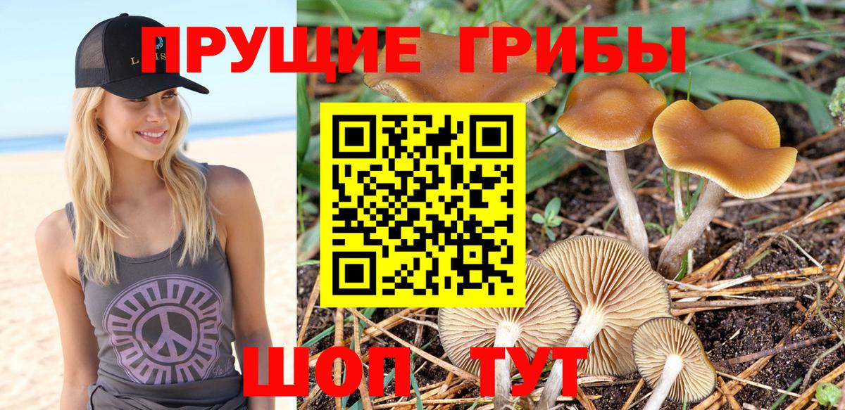 Галлюциногенные грибы MAGIC MUSHROOMS  где можно купить наркотик  Слободской  Вход с VPN 